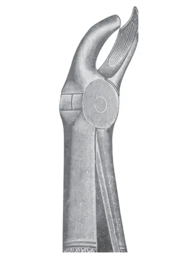 Fig. 28 